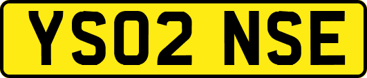 YS02NSE