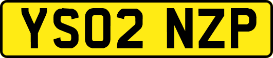 YS02NZP