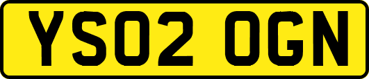 YS02OGN