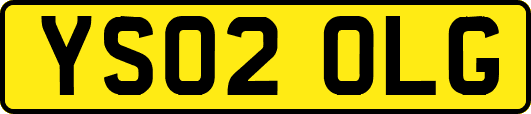 YS02OLG
