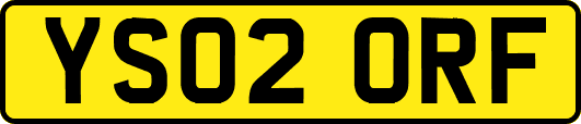 YS02ORF