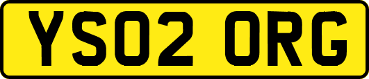 YS02ORG
