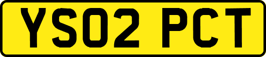 YS02PCT
