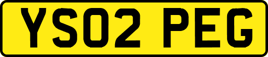 YS02PEG