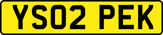 YS02PEK