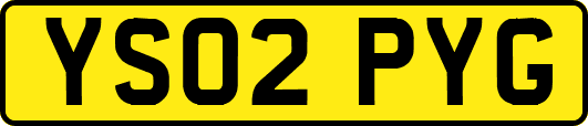 YS02PYG