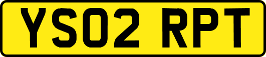YS02RPT