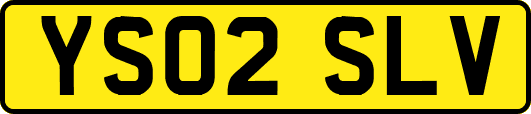 YS02SLV