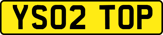 YS02TOP