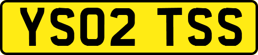 YS02TSS
