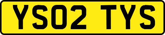 YS02TYS