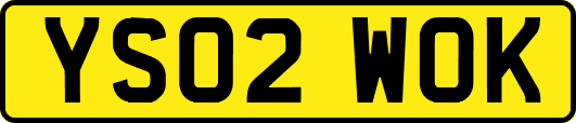 YS02WOK