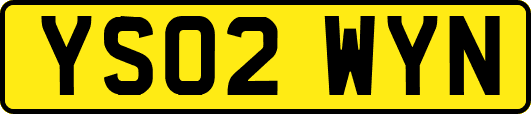 YS02WYN