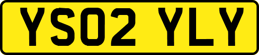 YS02YLY