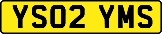 YS02YMS