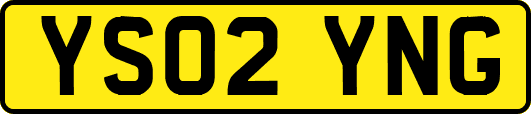 YS02YNG