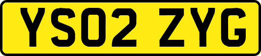 YS02ZYG