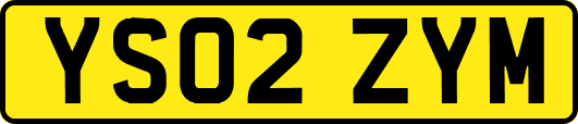 YS02ZYM