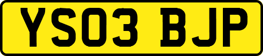YS03BJP