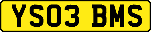 YS03BMS
