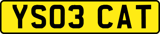 YS03CAT