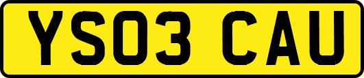 YS03CAU
