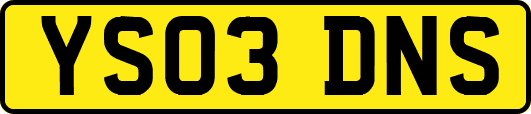 YS03DNS