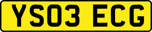YS03ECG