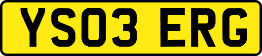YS03ERG