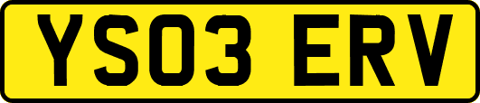 YS03ERV