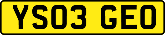 YS03GEO