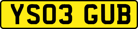 YS03GUB