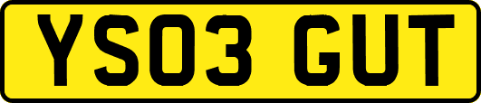 YS03GUT