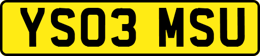YS03MSU