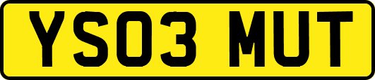 YS03MUT