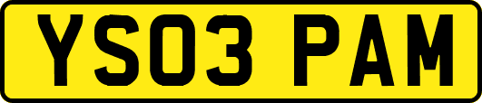 YS03PAM