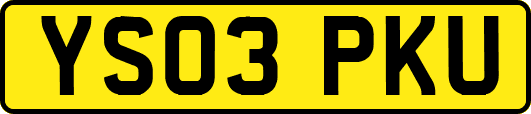 YS03PKU