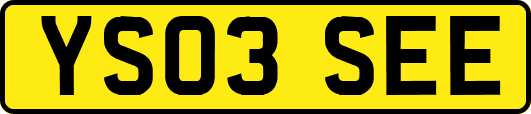 YS03SEE