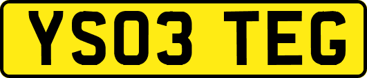 YS03TEG