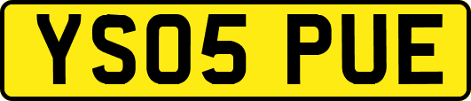 YS05PUE