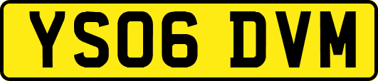 YS06DVM