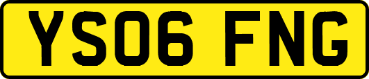 YS06FNG