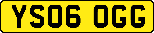 YS06OGG