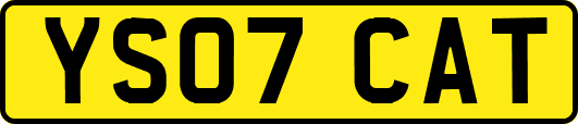 YS07CAT