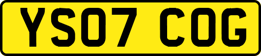 YS07COG