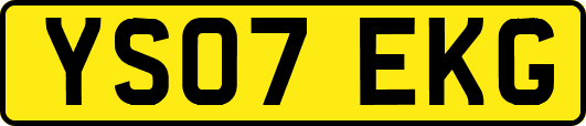 YS07EKG