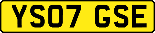 YS07GSE