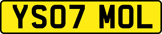 YS07MOL
