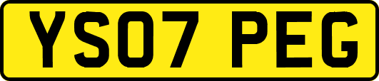 YS07PEG