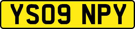 YS09NPY